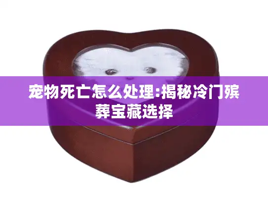 宠物死亡怎么处理:揭秘冷门殡葬宝藏选择
