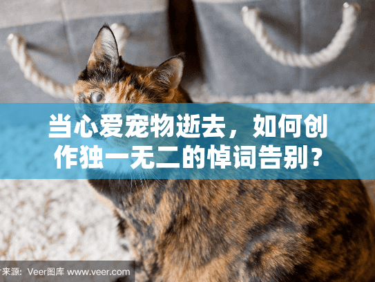 当心爱宠物逝去，如何创作独一无二的悼词告别？