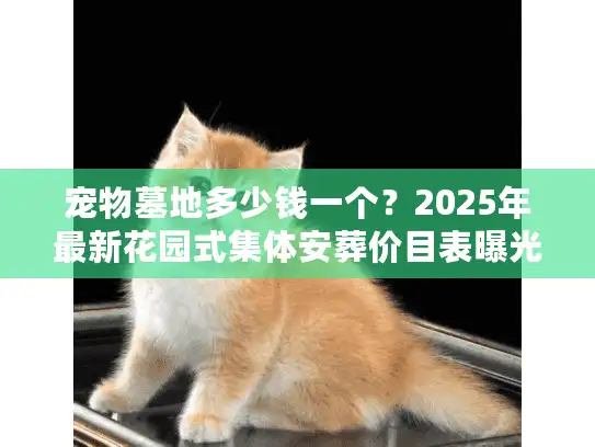 宠物墓地多少钱一个？2025年最新花园式集体安葬价目表曝光！