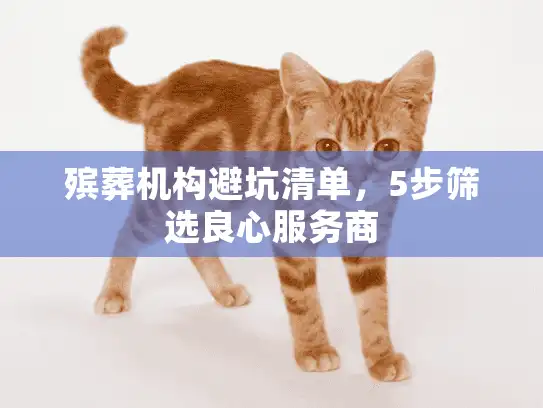 殡葬机构避坑清单，5步筛选良心服务商