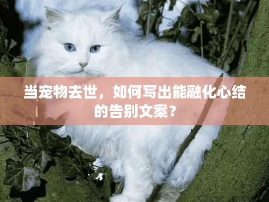 当宠物去世,如何写出能融化心结的告别文案? 当宠物去世,如何写出能融化心结的告别文案?