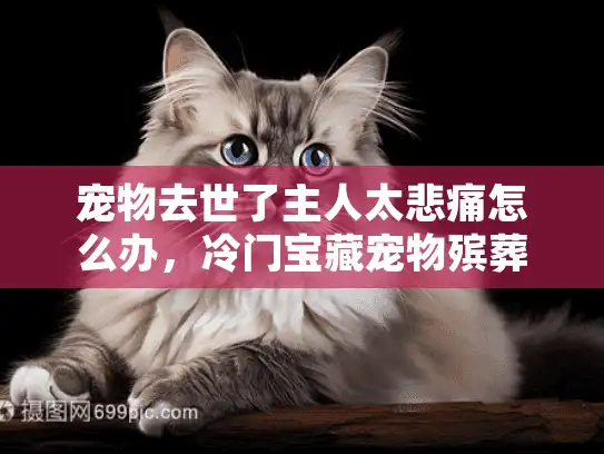 宠物去世了主人太悲痛怎么办,冷门宝藏宠物殡葬服务全解 宠物去世了主人太悲痛怎么办,冷门宝藏宠物殡葬服务全解