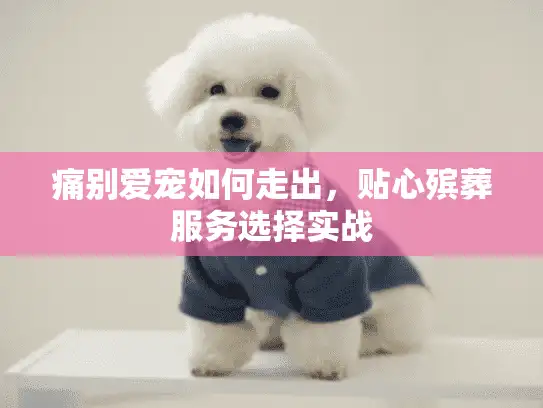 痛别爱宠如何走出,贴心殡葬服务选择实战 痛别爱宠如何走出,贴心殡葬服务选择实战