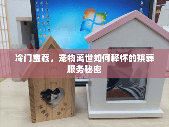 冷门宝藏,宠物离世如何释怀的殡葬服务秘密 冷门宝藏,宠物离世如何释怀的殡葬服务秘密
