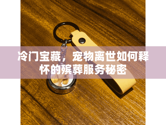 冷门宝藏,宠物离世如何释怀的殡葬服务秘密 冷门宝藏,宠物离世如何释怀的殡葬服务秘密