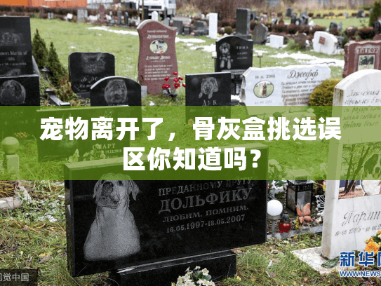 宠物离开了,骨灰盒挑选误区你知道吗? 宠物离开了,骨灰盒挑选误区你知道吗?