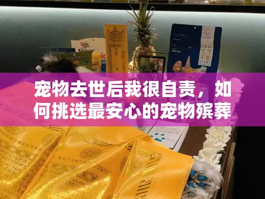 宠物去世后我很自责,如何挑选最安心的宠物殡葬服务? 宠物去世后我很自责,如何挑选最安心的宠物殡葬服务?