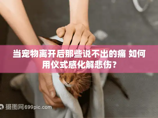 当宠物离开后那些说不出的痛 如何用仪式感化解悲伤? 当宠物离开后那些说不出的痛 如何用仪式感化解悲伤?