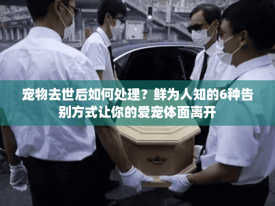 宠物去世后如何处理？鲜为人知的6种告别方式让你的爱宠体面离开