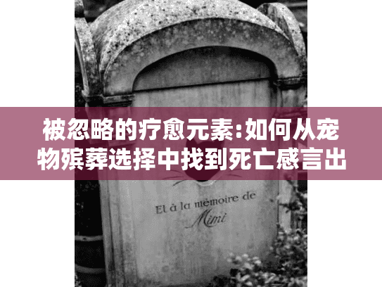 被忽略的疗愈元素:如何从宠物殡葬选择中找到死亡感言出口