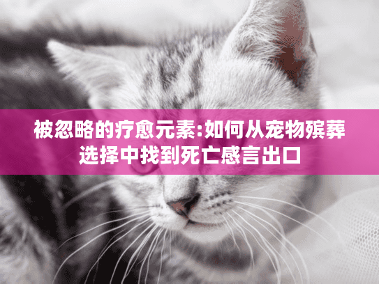 被忽略的疗愈元素:如何从宠物殡葬选择中找到死亡感言出口