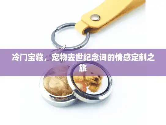 冷门宝藏，宠物去世纪念词的情感定制之旅