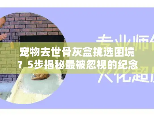 宠物去世骨灰盒挑选困境？5步揭秘最被忽视的纪念选择