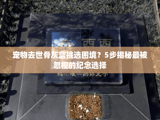 宠物去世骨灰盒挑选困境？5步揭秘最被忽视的纪念选择