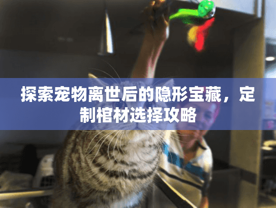 探索宠物离世后的隐形宝藏，定制棺材选择攻略
