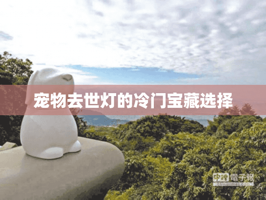 宠物去世灯的冷门宝藏选择 宠物去世灯的冷门宝藏选择