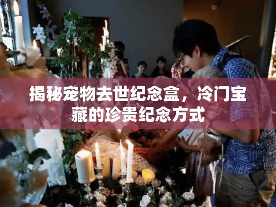 揭秘宠物去世纪念盒,冷门宝藏的珍贵纪念方式 揭秘宠物去世纪念盒,冷门宝藏的珍贵纪念方式