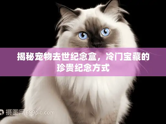 揭秘宠物去世纪念盒,冷门宝藏的珍贵纪念方式 揭秘宠物去世纪念盒,冷门宝藏的珍贵纪念方式