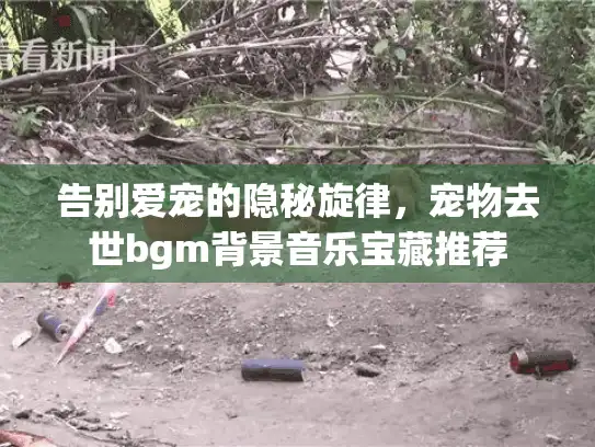 告别爱宠的隐秘旋律，宠物去世bgm背景音乐宝藏推荐