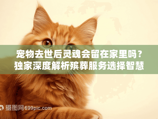 宠物去世后灵魂会留在家里吗？独家深度解析殡葬服务选择智慧