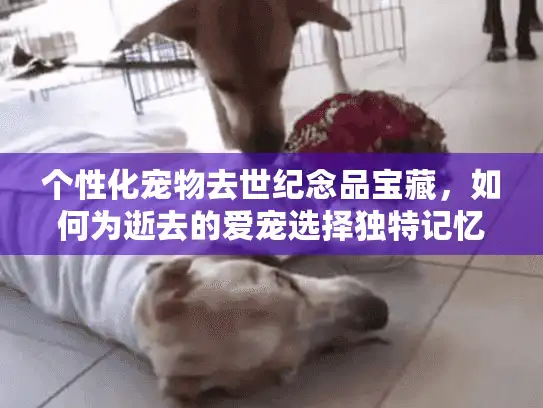 个性化宠物去世纪念品宝藏，如何为逝去的爱宠选择独特记忆