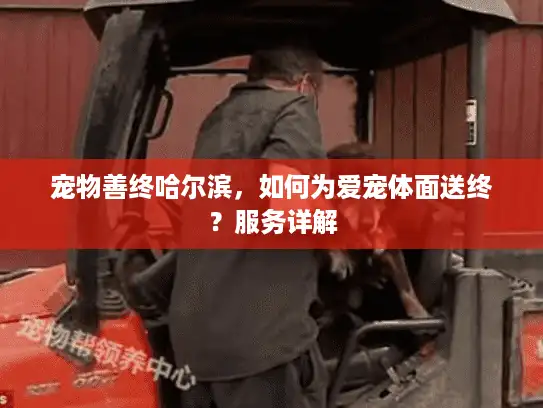 宠物善终哈尔滨，如何为爱宠体面送终？服务详解