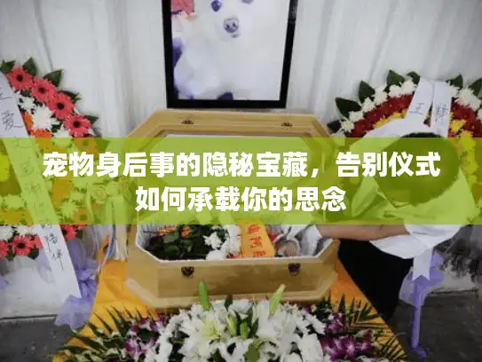 宠物身后事的隐秘宝藏,告别仪式如何承载你的思念 宠物身后事的隐秘宝藏,告别仪式如何承载你的思念