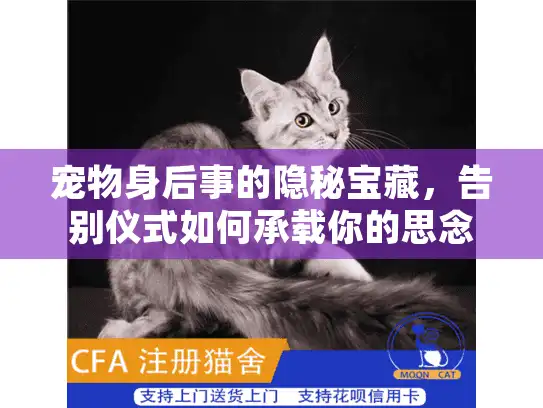 宠物身后事的隐秘宝藏,告别仪式如何承载你的思念 宠物身后事的隐秘宝藏,告别仪式如何承载你的思念