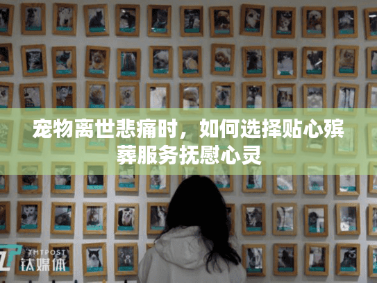 宠物离世悲痛时，如何选择贴心殡葬服务抚慰心灵