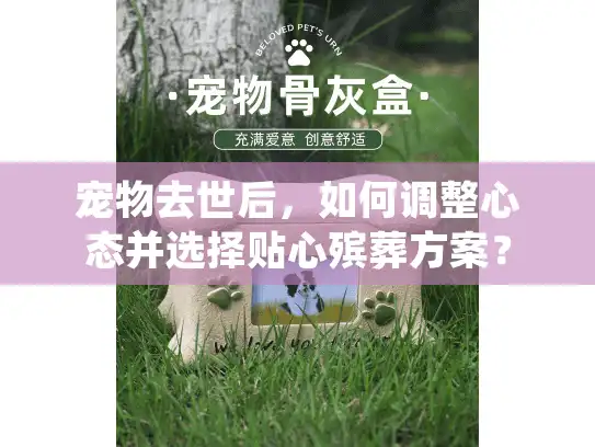 宠物去世后，如何调整心态并选择贴心殡葬方案？