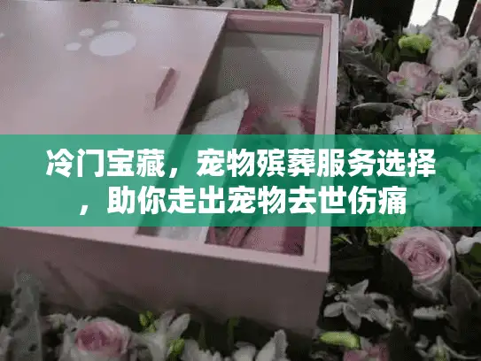 冷门宝藏，宠物殡葬服务选择，助你走出宠物去世伤痛
