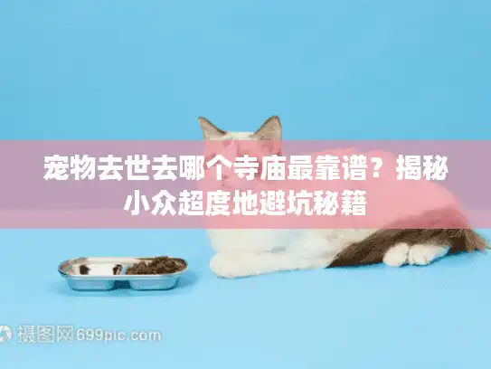 宠物去世去哪个寺庙最靠谱?揭秘小众超度地避坑秘籍 宠物去世去哪个寺庙最靠谱?揭秘小众超度地避坑秘籍