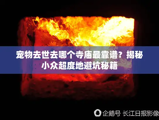 宠物去世去哪个寺庙最靠谱?揭秘小众超度地避坑秘籍 宠物去世去哪个寺庙最靠谱?揭秘小众超度地避坑秘籍