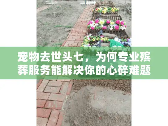 宠物去世头七，为何专业殡葬服务能解决你的心碎难题？