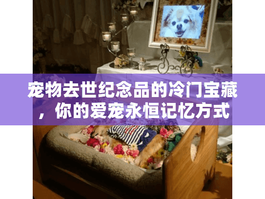 宠物去世纪念品的冷门宝藏,你的爱宠永恒记忆方式 宠物去世纪念品的冷门宝藏,你的爱宠永恒记忆方式