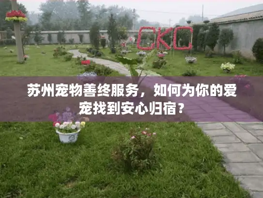 苏州宠物善终服务，如何为你的爱宠找到安心归宿？