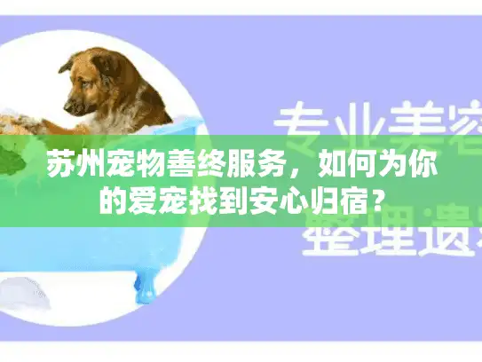 苏州宠物善终服务，如何为你的爱宠找到安心归宿？