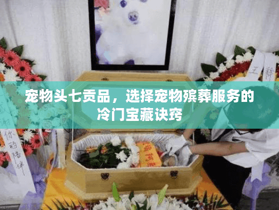 宠物头七贡品,选择宠物殡葬服务的冷门宝藏诀窍 宠物头七贡品,选择宠物殡葬服务的冷门宝藏诀窍