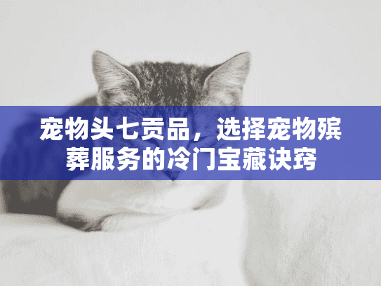 宠物头七贡品,选择宠物殡葬服务的冷门宝藏诀窍 宠物头七贡品,选择宠物殡葬服务的冷门宝藏诀窍