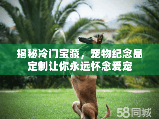 揭秘冷门宝藏，宠物纪念品定制让你永远怀念爱宠