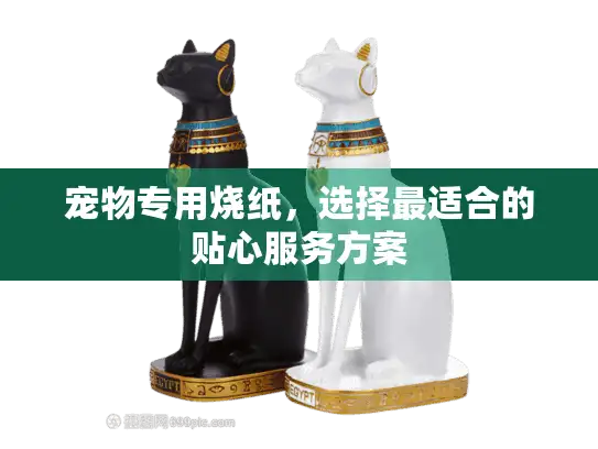 宠物专用烧纸，选择最适合的贴心服务方案