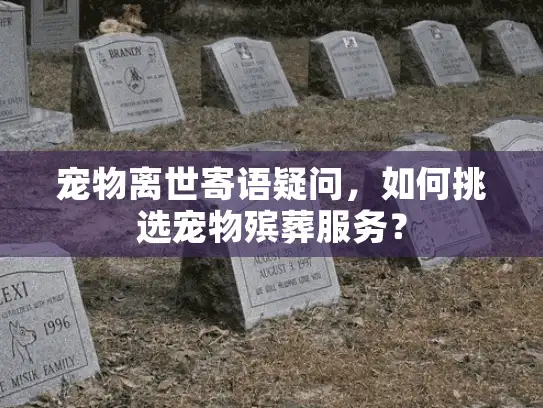 宠物离世寄语疑问，如何挑选宠物殡葬服务？