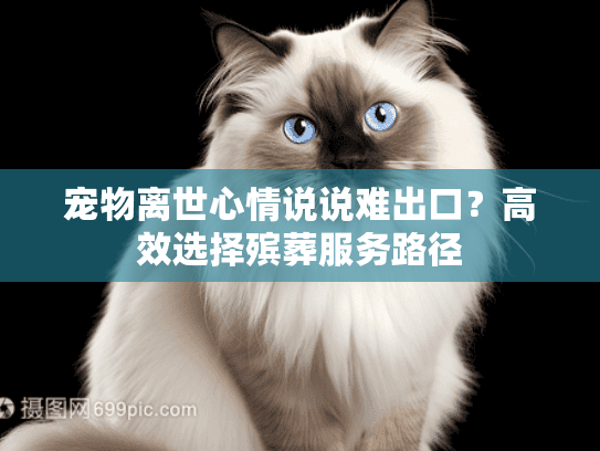 宠物离世心情说说难出口？高效选择殡葬服务路径