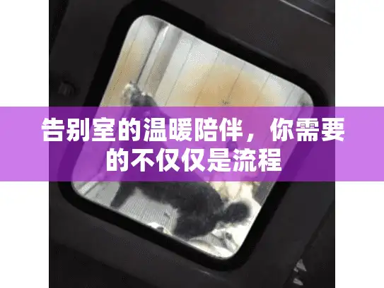 告别室的温暖陪伴，你需要的不仅仅是流程