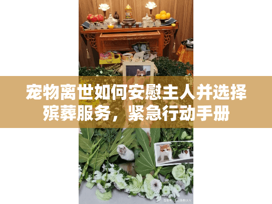 宠物离世如何安慰主人并选择殡葬服务，紧急行动手册