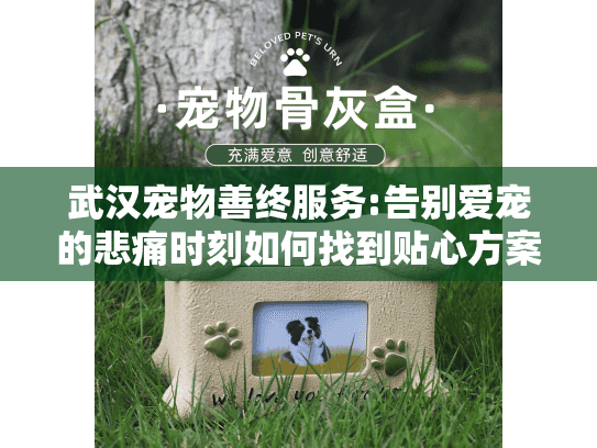 武汉宠物善终服务:告别爱宠的悲痛时刻如何找到贴心方案? 武汉宠物善终服务:告别爱宠的悲痛时刻如何找到贴心方案?