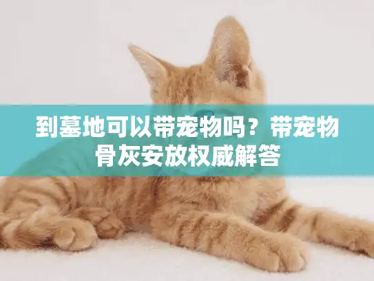 到墓地可以带宠物吗？带宠物骨灰安放权威解答