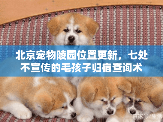 北京宠物陵园位置更新，七处不宣传的毛孩子归宿查询术