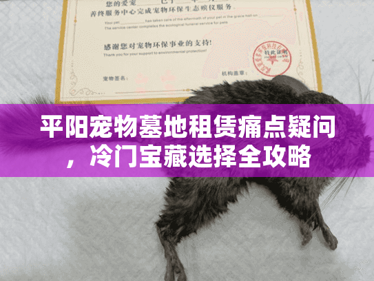 平阳宠物墓地租赁痛点疑问，冷门宝藏选择全攻略