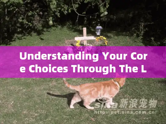 Understanding Your Core Choices Through The Lens
